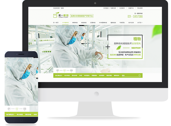 網站建設 打造高效、美觀的在線平臺